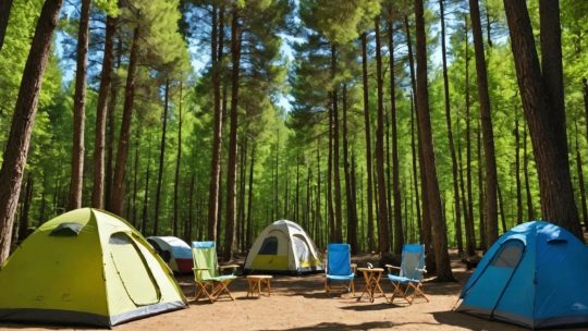 Guide Complet pour Sélectionner le Parfait Logement en Camping dans le Sud de la France
