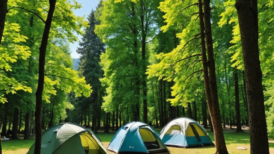 Le Guide Ultime des Campings en France : Trouvez les Meilleurs Spots pour Votre Aventure en Plein Air!