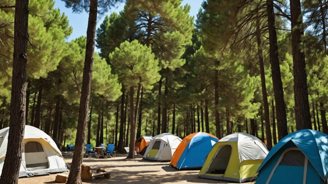Guide Ultime pour Choisir le Parfait Logement en Camping dans le Sud de la France